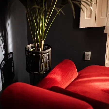 Apartamento Rudi és Fickó *
